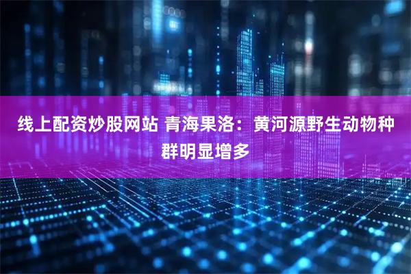 线上配资炒股网站 青海果洛：黄河源野生动物种群明显增多