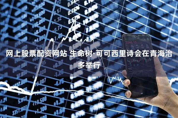 网上股票配资网站 生命树·可可西里诗会在青海治多举行