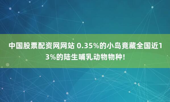 中国股票配资网网站 0.35%的小岛竟藏全国近13%的陆生哺乳动物物种!
