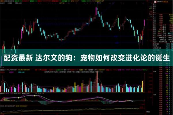 配资最新 达尔文的狗：宠物如何改变进化论的诞生